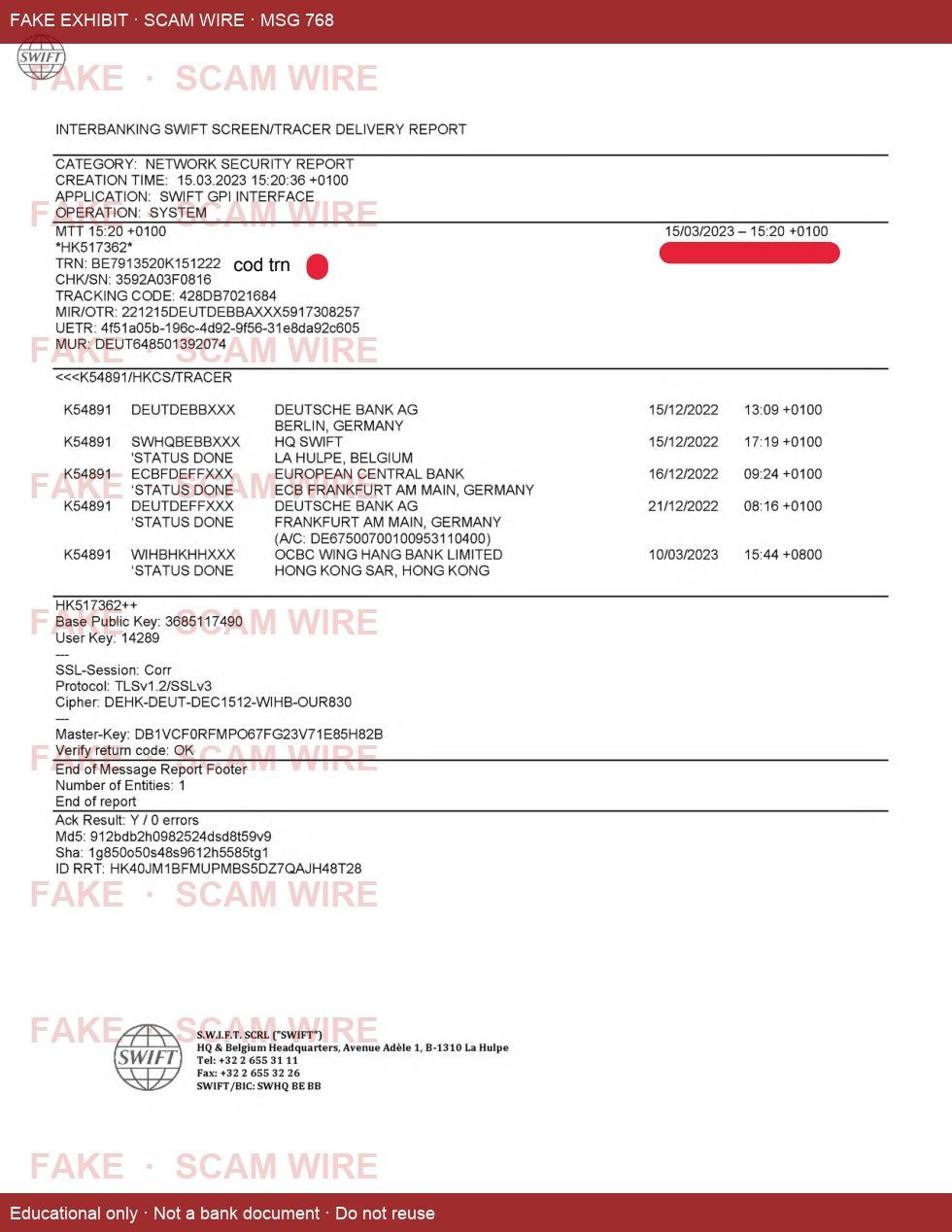Watermarked fake interbanking SWIFT screen tracer exhibit